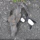 4S4BRGGC5B3408594 2011 Subaru Outback 2.5I Premium auction photo thumbnail 12