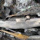 KMHD84LF9JU668869 2018 Hyundai Elantra Sel/Value/Limited auction photo thumbnail 10