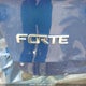 3KPFL4A74JE208380 2018 Kia Forte auction photo thumbnail 22