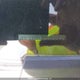 JF2GTAAC2K8340647 2019 Subaru Crosstrek Convenience auction photo thumbnail 19