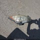 JM1BL1SF9A1325149 2010 Mazda 3 I auction photo thumbnail 12