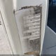WV2EH8708VH026004 1997 Volkswagen Eurovan auction photo thumbnail 9