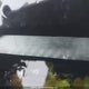 5FNYF6H79KB502435 2019 Honda Pilot Ex-L Navi auction photo thumbnail 20