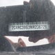 2C4RC3BG3NR236729 2022 Chrysler Pacifica Touring L auction photo thumbnail 20