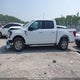 1FTFW3L80RKE02551 2024 Ford F150 Xlt auction photo thumbnail 14