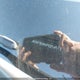 JM3KFBCMXP0254513 2023 Mazda Cx-5 Gs/Kuro Edition auction photo thumbnail 9