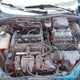 1FAFP37N37W105282 2007 Ford Focus Zx5/S/Se/Ses auction photo thumbnail 10