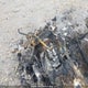 AB462186000000000 2002 Yamaha auction photo thumbnail 6