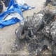 JYE8HA0008A005586 2008 Yamaha auction photo thumbnail 2