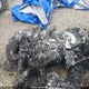 JYE8HA0008A005586 2008 Yamaha auction photo thumbnail 3