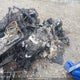 JYE8HA0008A005586 2008 Yamaha auction photo thumbnail 4