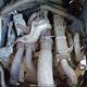 5B4LPG293A3440037 2010 Workhorse Custom Chassis Commercial Chassis W62 auction photo thumbnail 10