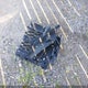 1FTFW1ED0MFA35179 2021 Ford F150 Supercrew auction photo thumbnail 12