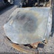 2G1WF52E259294067 2005 Chevrolet Impala auction photo thumbnail 10
