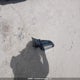 5NPE24AF9GH276216 2016 Hyundai Sonata Se auction photo thumbnail 12