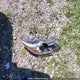 5J8TB4H30DL801904 2013 Acura Rdx auction photo thumbnail 12