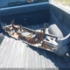 3GCUKNEC8HG210039 2017 Chevrolet Silverado K1500/K1500 Ls auction photo thumbnail 12