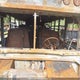 1BAKGCBHXMF375299 2021 Blue Bird School Bus / Transit Bus auction photo thumbnail 11