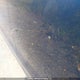 3KPFL4A74JE197753 2018 Kia Forte Lx/S auction photo thumbnail 17
