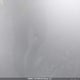 JF2SJEUC1HH428567 2017 Subaru Forester 2.5I Touring auction photo thumbnail 18