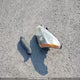 JN8AS5MV0DW129090 2013 Nissan Rogue S/Sl/Sv auction photo thumbnail 12