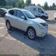 JN8AS5MV0DW129090 2013 Nissan Rogue S/Sl/Sv auction photo thumbnail 1