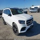 4JGFF5KE6LA150011 2020 Mercedes-Benz Gls 450 4Matic auction photo thumbnail 1