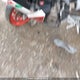 ZD4KSUR00RS000406 2024 Aprilia Rs 660 Extrema auction photo thumbnail 9