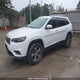 1C4PJMDX9KD450171 2019 Jeep Cherokee Limited auction photo thumbnail 2