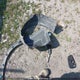 KMHCT5AE1FU221695 2015 Hyundai Accent Le auction photo thumbnail 12