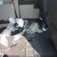 2D4RN4DE0AR177941 2010 Dodge Grand Caravan Se auction photo thumbnail 8