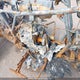 1HFTE4027L4601870 2020 Honda Trx420 Fm auction photo thumbnail 10