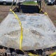1GCEK19R8WE139439 1998 Chevrolet K1500 Cheyenne/Silverado auction photo thumbnail 10