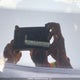 5NMSG73E99H303148 2009 Hyundai Santa Fe Gl auction photo thumbnail 18