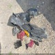 2T1BURHE2GC680274 2016 Toyota Corolla Le auction photo thumbnail 12