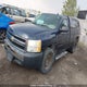 1GCPCPEX9AZ236499 2010 Chevrolet Silverado 1500 Wt auction photo thumbnail 2