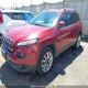 1C4PJMDS6GW130144 2016 Jeep Cherokee Limited auction photo thumbnail 2