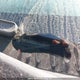 5NPDH4AEXEH523077 2014 Hyundai Elantra L auction photo thumbnail 20