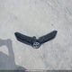 2T1BURHE9EC115856 2014 Toyota Corolla S auction photo thumbnail 12