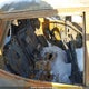 JN1BJ1CP4KW237372 2019 Nissan Qashqai S/Sv auction photo thumbnail 8