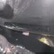 4S3BMGA60B3211600 2011 Subaru Legacy 2.5 I/2.5 I Convenience Package auction photo thumbnail 18