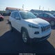 1C4PJMDS4GW224149 2016 Jeep Cherokee Limited auction photo thumbnail 1