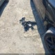 2HGFE2F57RH102481 2024 Honda Civic Sport auction photo thumbnail 12