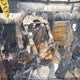1GCUDEED3RZ129292 2024 Chevrolet Silverado 1500 Rst auction photo thumbnail 7