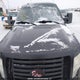 1FTFW1EVXAKA36416 2010 Ford F-150 auction photo thumbnail 6