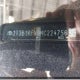 2T3B1RFV0MC224756 2021 Toyota Rav4 Le auction photo thumbnail 19