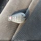 2C4RDGBG8ER101489 2014 Dodge Grand Caravan Se auction photo thumbnail 11