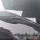 W1Y4DBHY8NP483694 2022 Mercedes-Benz Sprinter 2500 auction photo thumbnail 8