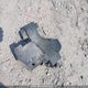 1C4NJDCB7CD575524 2012 Jeep Compass Limited auction photo thumbnail 12