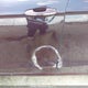 3FA6P0D9XHR202392 2017 Ford Fusion auction photo thumbnail 6